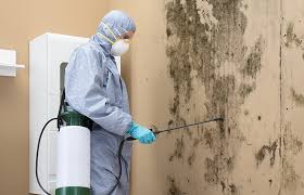 Best Industrial Mold Remediation  in Cliffside Park, NJ